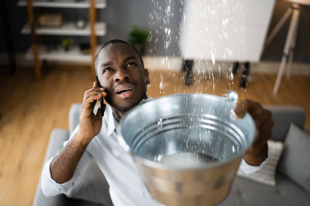 Best Flooded house restoration  in Comer, GA