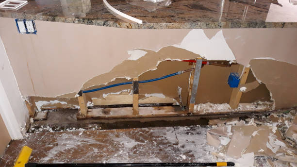 Best Residential water damage restoration  in Comer, GA