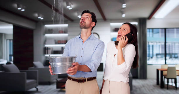 Best Professional water damage repair  in Comer, GA