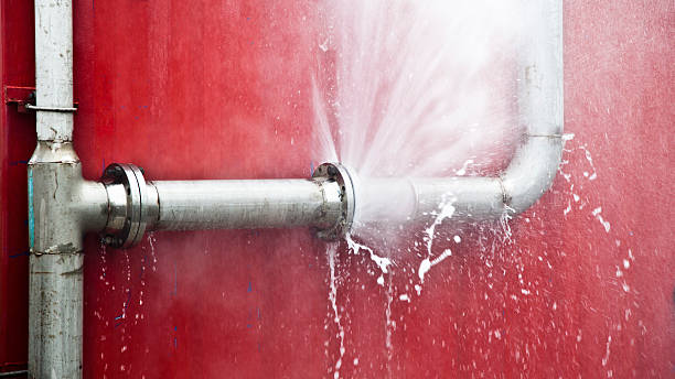 Best Sewage cleanup and water damage restoration  in Comer, GA